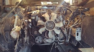 Что будет если купить подснежник. КибОрг 6.