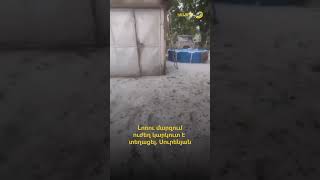 Քիչ առաջ ուժեղ կարկուտ է դիտվել Լոռու մարզի Գյուլագարակ գյուղում. Գագիկ Սուրենյան