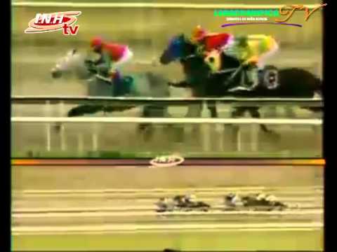 LA RINCONADA 12 CARRERA SABADO 29 DE NOVIEMBRE DEL 2014