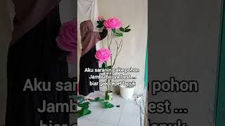 Download lagu Tips Memilih Ranting Kayu Untuk Bunga Jumbo Sudut Ruangan mp3