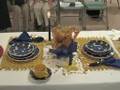 Emily SGarden Garden Club Magic