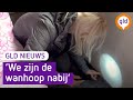 GLD Nieuws 19 maart 2021