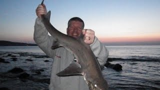 preview picture of video 'Smooth-Hound fishing in North Devon the Unseen Footage'