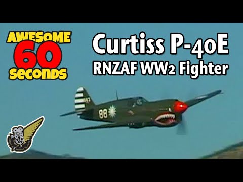 P-40 - NZ's First v12 Fighter In 60 Seconds