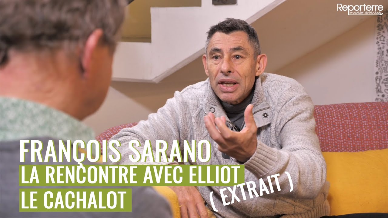 François Sarano : la rencontre avec Elliot le cachalot - YouTube