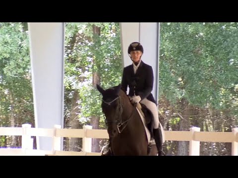 Learning the Olympic Sport: Equestrian Dressage