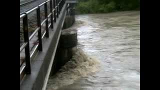 preview picture of video 'Hochwasser in Enns Sonntag 02.06.2013 12:00 Uhr'