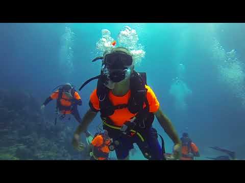 Let Us Dive Group Sinai 2017
