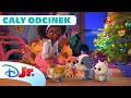 Cały Odcinek Super święta SuperKoty Disney Junior Polska