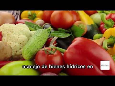 Escases de Agua en la Agricultura