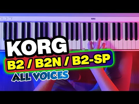 Цифровое пианино Korg B2+SP