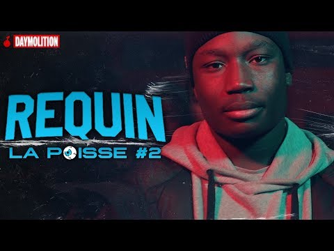 Requin - La poisse #2 I Daymolition