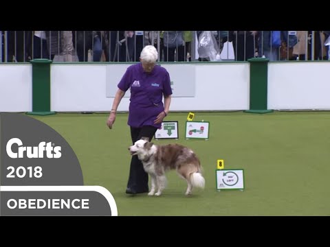 Inter-Regional Rally - Level 5 - Part 1 | Crufts 2018