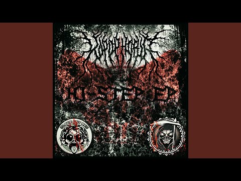 Prog it to the Limit (er)