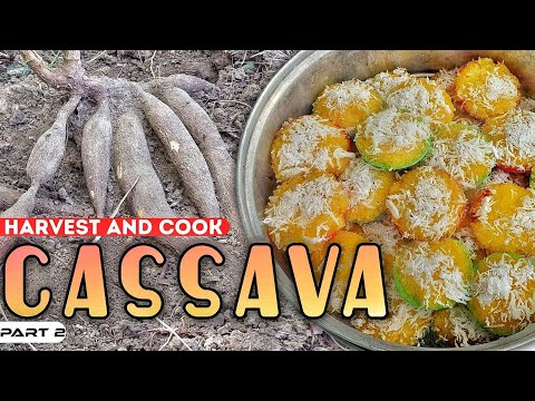 EP895-P2 - Cassava Harvest and Cook