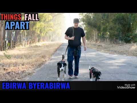 Matyansi butyampa ne golooba ngabave ekooki