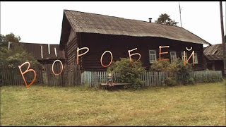 Художественный фильм «Воробей» Режиссёр — Юрий Шиллер