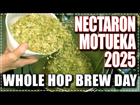 Fresh Nectaron & Motueka 2025 NZ Hops - Long form brew day