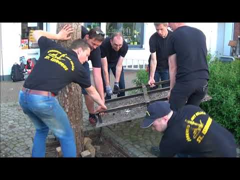 Jonkheid St. Isidorus Oud-Geleen: Planten mei-den