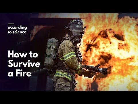 中壢火災悲劇!科學實證的火場逃生技巧,關鍵時刻能救命! (How to Survive a Fire, According to Science)