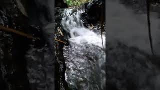 Download lagu 03.Video dan Suara Gemercik Air Mengalir/running water splash video and sound‎ #shorts #air mp3