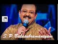 Spb Sir Forever