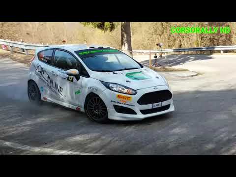 16° Benacus Rally 2019 Show Big Jump Crash and Mistake