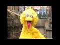 Sesame Street Play Along Games Songs Part 3