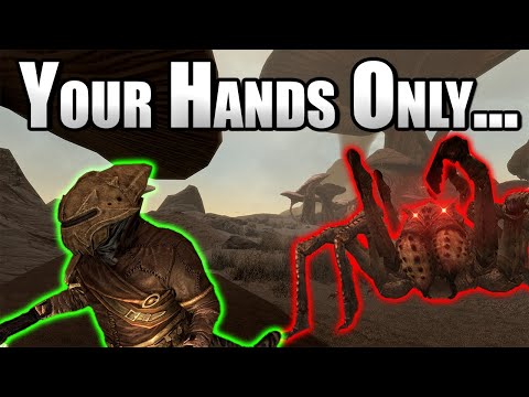Can You Beat Skyrim While Avoiding the Spider Courier?