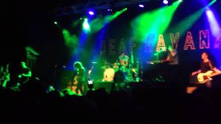 The World Or Nothing - Deaf Havana (live)