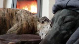 weet je wat we doen....wmv