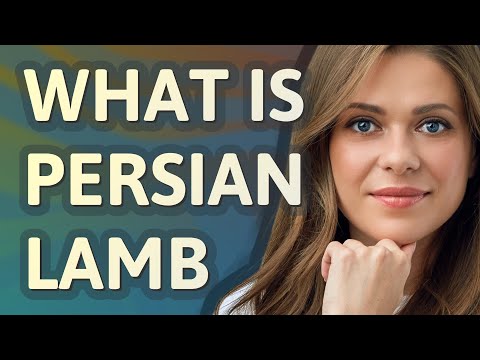 Persian lamb | meaning of Persian lamb