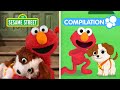 Sesame Street Celebrate Puppy Day With Elmo Tango 1 Hour Compilation