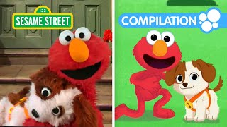 Sesame Street: Celebrate Puppy Day with Elmo &amp; Tango | 1 Hour Compilation