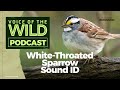 Episode 29: White-Throated Sparrow – Voice of the Wild