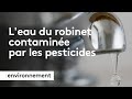 L'eau du robinet contaminée par les pesticides