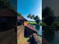 Viral Pond In Kerala Perumangode Vishnu Temple Sreekrishnapuram Templekerala Viralpond