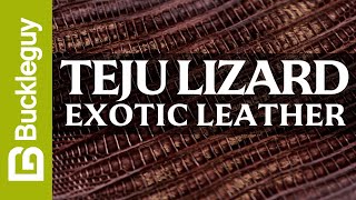 Exotic Leather, Teju Lizard | Full Grain Leather Demo