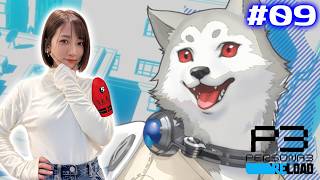 #09【P3R/ペルソナ3リロード】8/20～9/4 大所帯になってきたワン！【※ネタバレ注意】