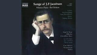 7 Danish Songs, RT III/4: No. 7. Silkesko over gylden Laest (Silken Shoes)