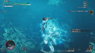 歴戦ラギア練習する