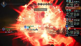 【オクトパストラベラー】リトゥ戦の壁役をコニーにお任せしてみた【大陸の覇者】
