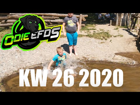 Vlog / KW 26 2020 / Familienausflug in den Vogelpark Marlow