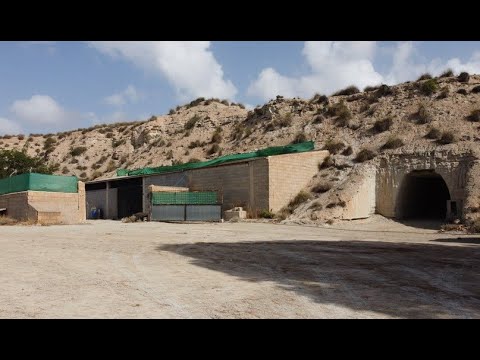 video image