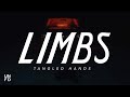 LIMBS - Tangled Hands [Official Music Video]