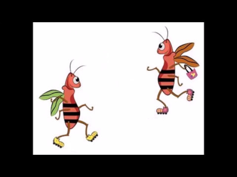 SUBITIZACIÓN 6 - BICHOS