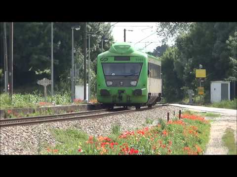 Regional nº 6453 - Ribeira de Seiça