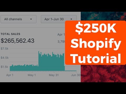 How We Built A $250K Shopify Business In 2017 In Under 90 Days