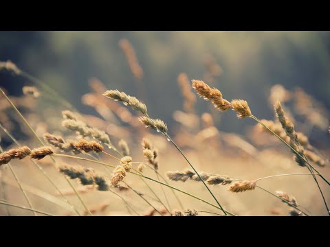 download lagu mp3 mp4 Aumentanos La Fe, download lagu Aumentanos La Fe gratis, unduh video klip Aumentanos La Fe
