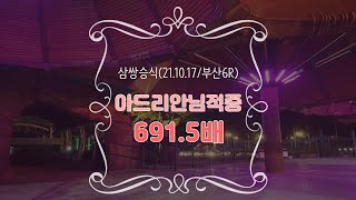 [실전경마] 아드리안님 삼쌍승 691.5배 실전 적중 축하드립니다
